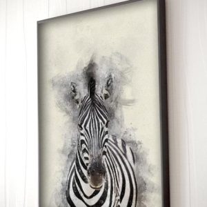 baby zebra poster
